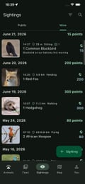 Personal wildlife sighting logs in Bushwak
