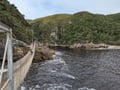 Suspension bridge at Garden Route National Park