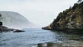 Tsitsikamma section of Garden Route National Park